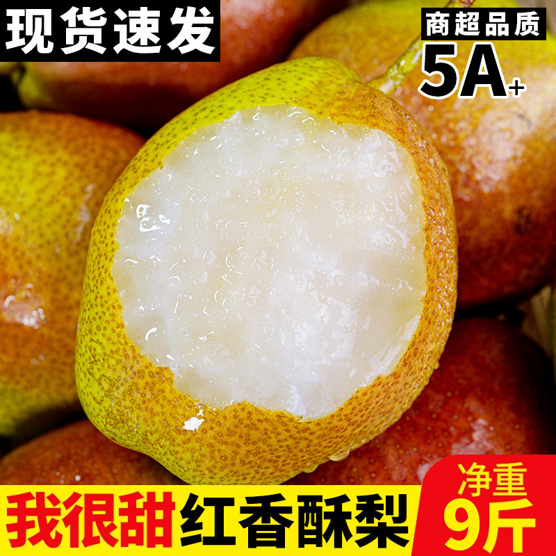 现货陕西红香酥梨10斤水果新鲜应当季香梨青脆甜酥梨红梨整箱包邮