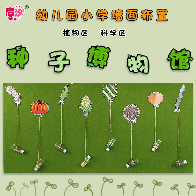 幼儿园环创装饰大班植物主题墙面科学区布置种子区域区角材料中班