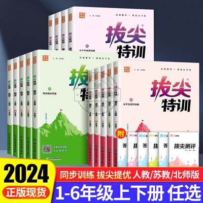 2024春季新版通城学典拔尖特训