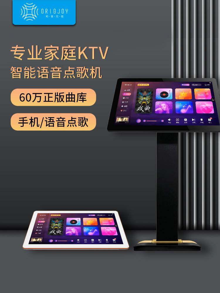 点歌机触摸屏一体机和音雷石语音卡拉ok点唱机 家用庭ktv音响套装