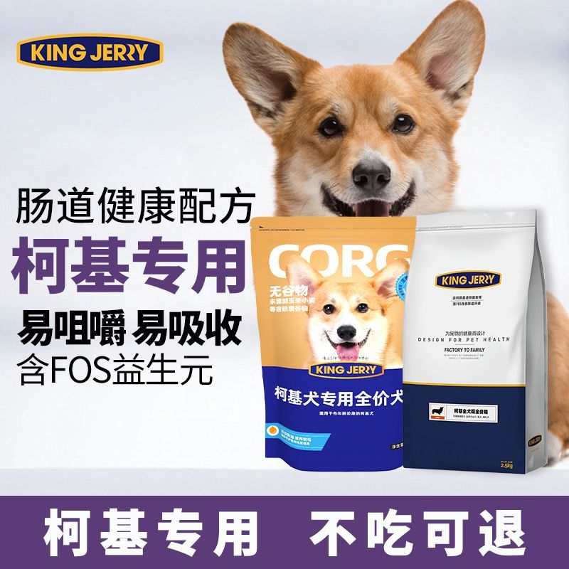 金吉瑞kingjerry柯基狗