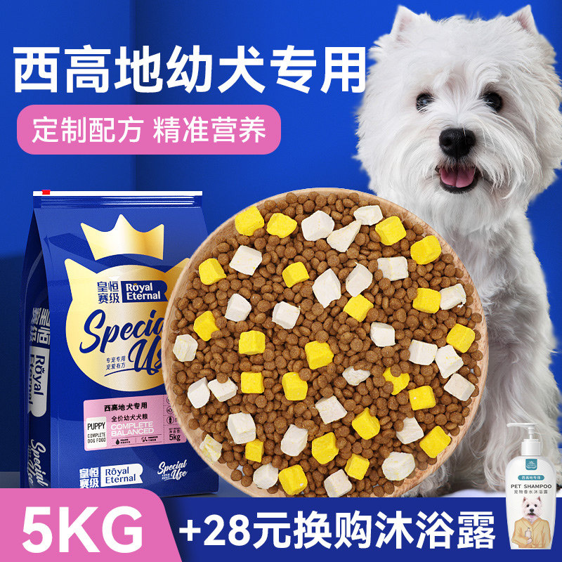 皇恒赛级西高地幼犬专用