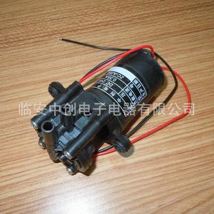 12VA250直流自吸泵静音循环泵增压泵微型齿轮泵柴油泵塑料小水泵