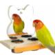 Hanging Wood Parrots with New Cups Mirror Feeder Removable