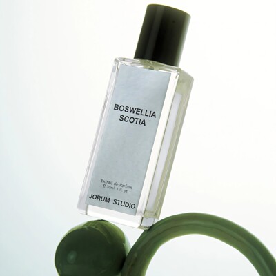 Jorum Studio愈莓HEALING BERRY白蜡树绿乳香飞蓟PLUCK香水小样