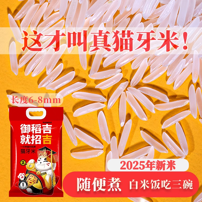 猫牙米长粒香米煲仔饭专用米