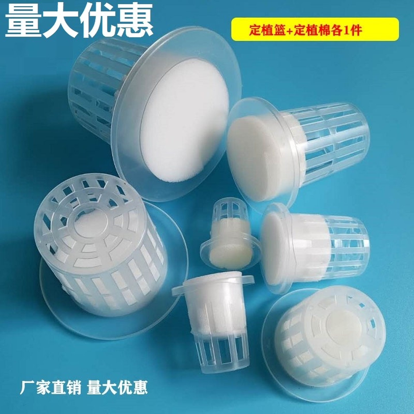 水培器皿定植篮园艺无土栽培蔬菜植物固根器小尺寸草莓玻璃花篮