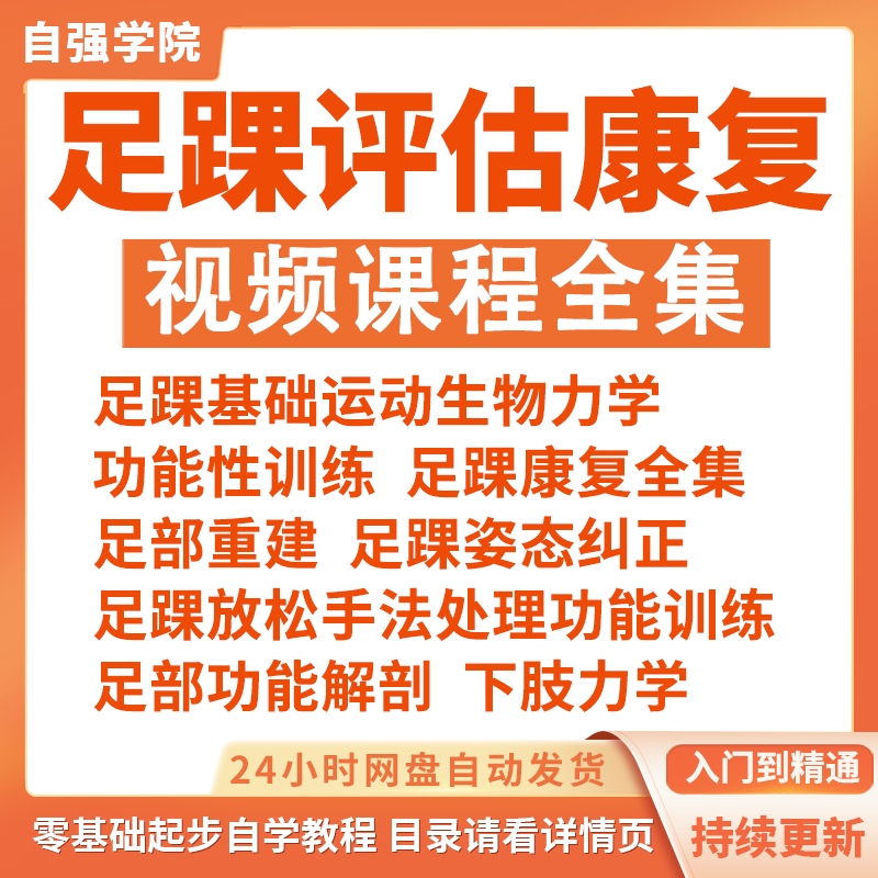 足踝运动康复评估训练视频课程稳定性姿态纠正动作下肢力学教程 办公设备/耗材/相关服务 刻录盘个性化服务 原图主图