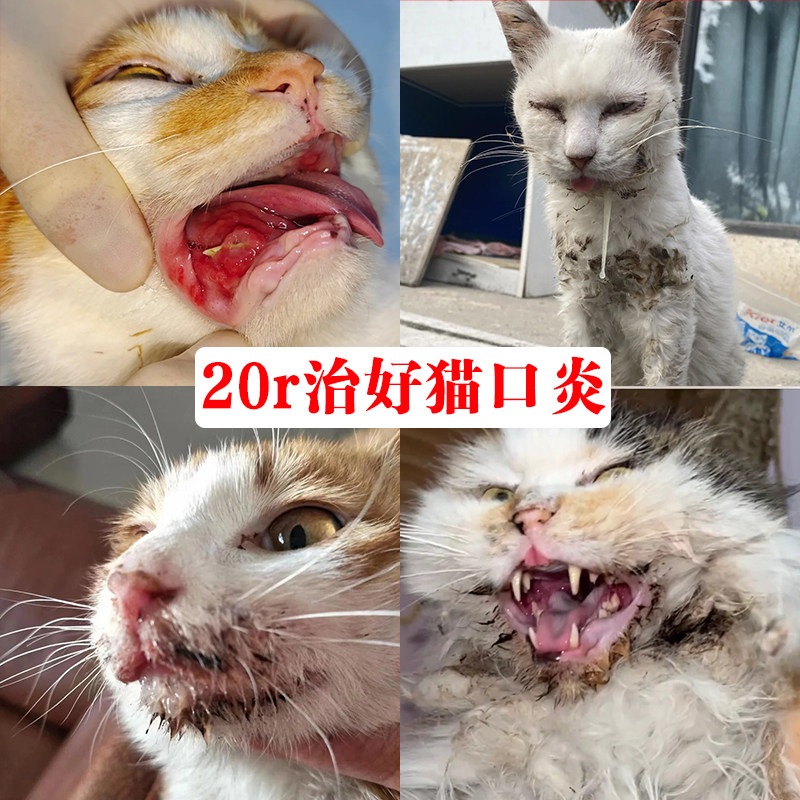 猫咪口特效猫咪炎流口水红肿口腔牙龈清洁烂嘴除臭消专用炎口服液