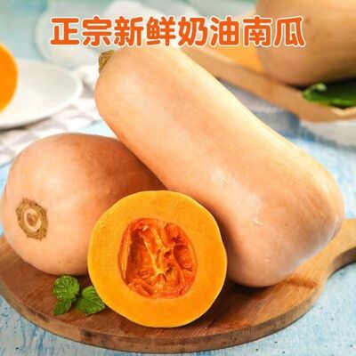 正宗奶油南瓜现摘农家粉糯甜小老黄南瓜蔬菜可做宝宝辅食黄南瓜
