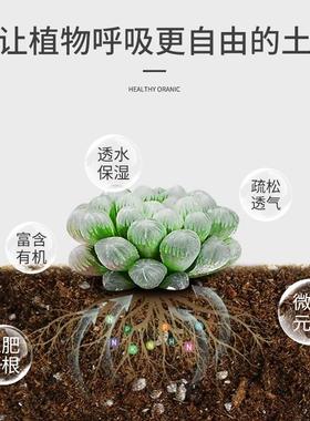 老款丹麦品氏泥炭土10-30整包原包装草炭土营养土进口泥炭土