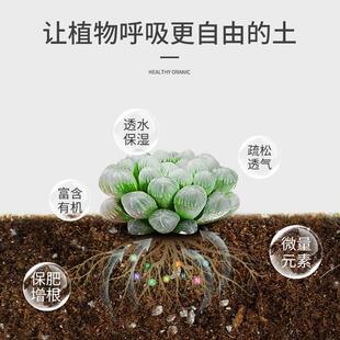 老款丹麦品氏泥炭土10-30整包原包装草炭土营养土进口泥炭土