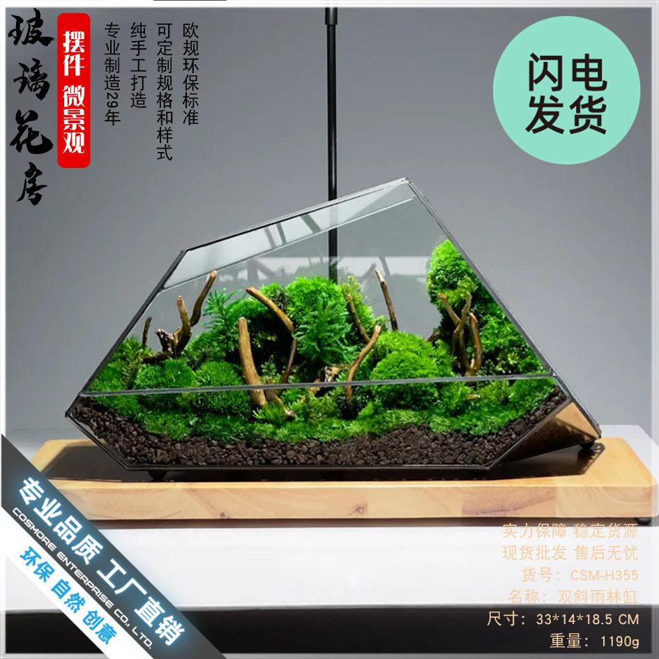 雨林缸苔藓微景观几何玻璃器皿罩盒子家居摆件微缩森林造景花盆器