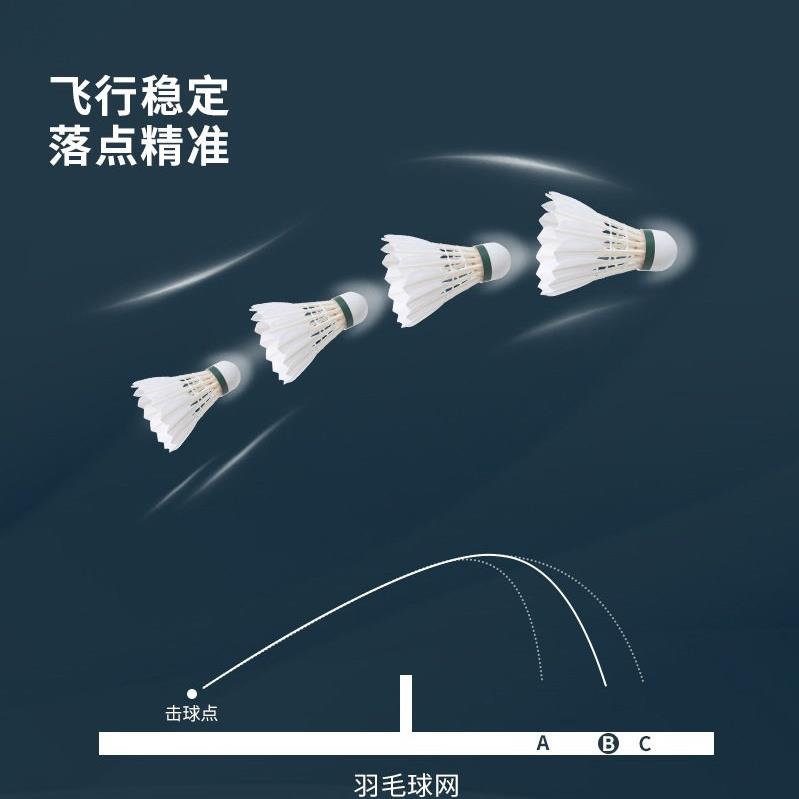 防风羽毛球专业训练超耐打羽毛球耐打王打不烂鹅毛12只IVH1