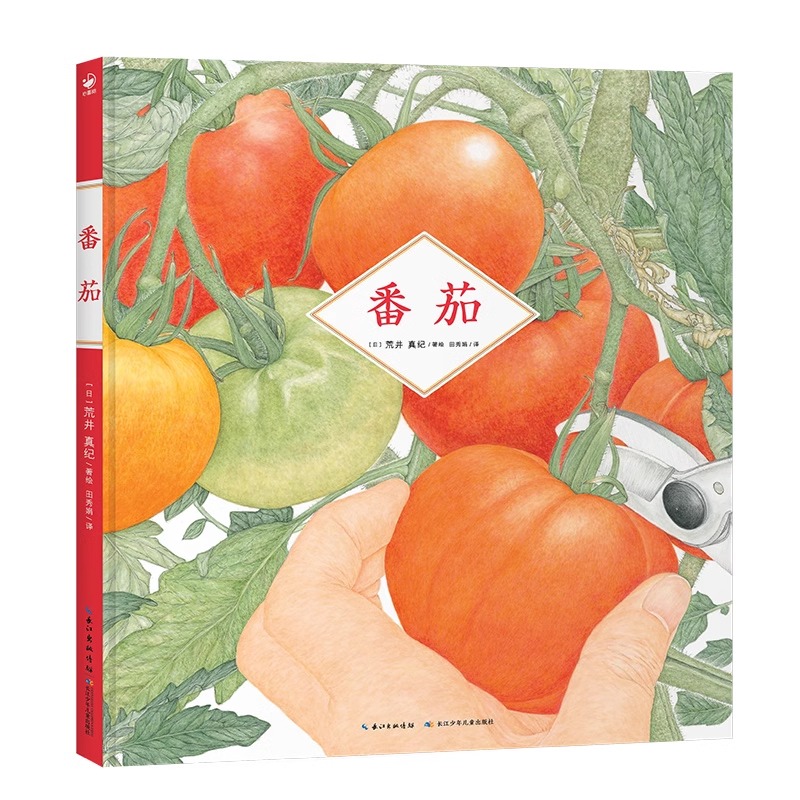 诺贝尔科学馆:番茄 精装心喜阅绘本BIB金苹果奖得主草莓郁金香作者荒井真纪3-6岁感受唯美画风沉浸式观察颜值封神的自然观察绘本