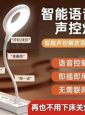 智能语音小夜灯卧室床头声控声音控制USB说话开关灯语音识别台灯