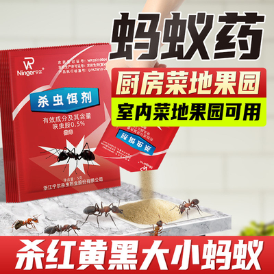 强效蚂蚁药一窝端非无毒杀蚁饵剂