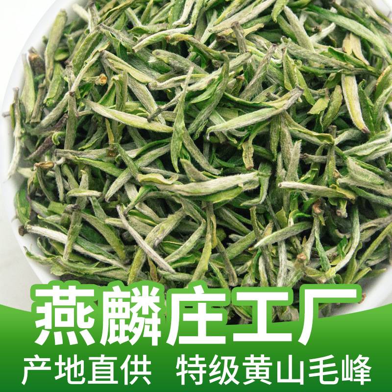26年新茶绿茶黄山毛峰散装产地直供明前茶雀舌茶叶茉莉绿茶