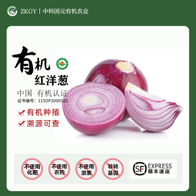 有机洋葱应季紫皮洋葱头新鲜蔬菜沙拉凉拌烹饪生吃圆葱顺丰包邮
