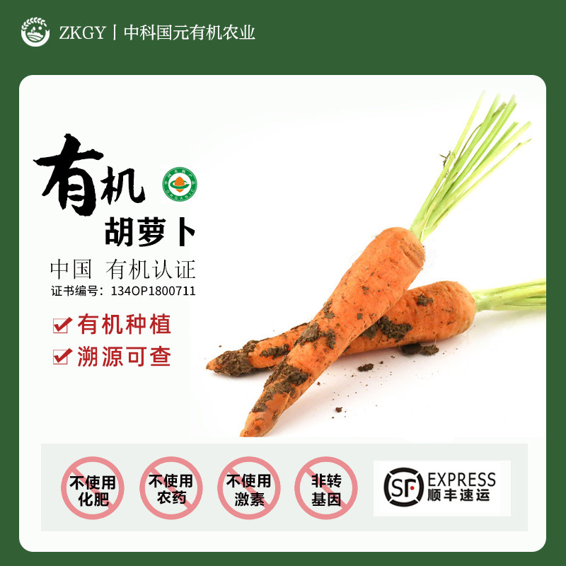 有机胡萝卜云南当季水果生吃辅食