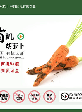 有机胡萝卜云南当季水果生吃辅食