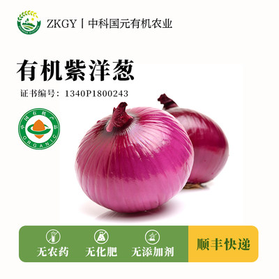 有机紫皮洋葱5斤顺丰发货新鲜蔬菜凉拌生吃应季新鲜采摘有机种植