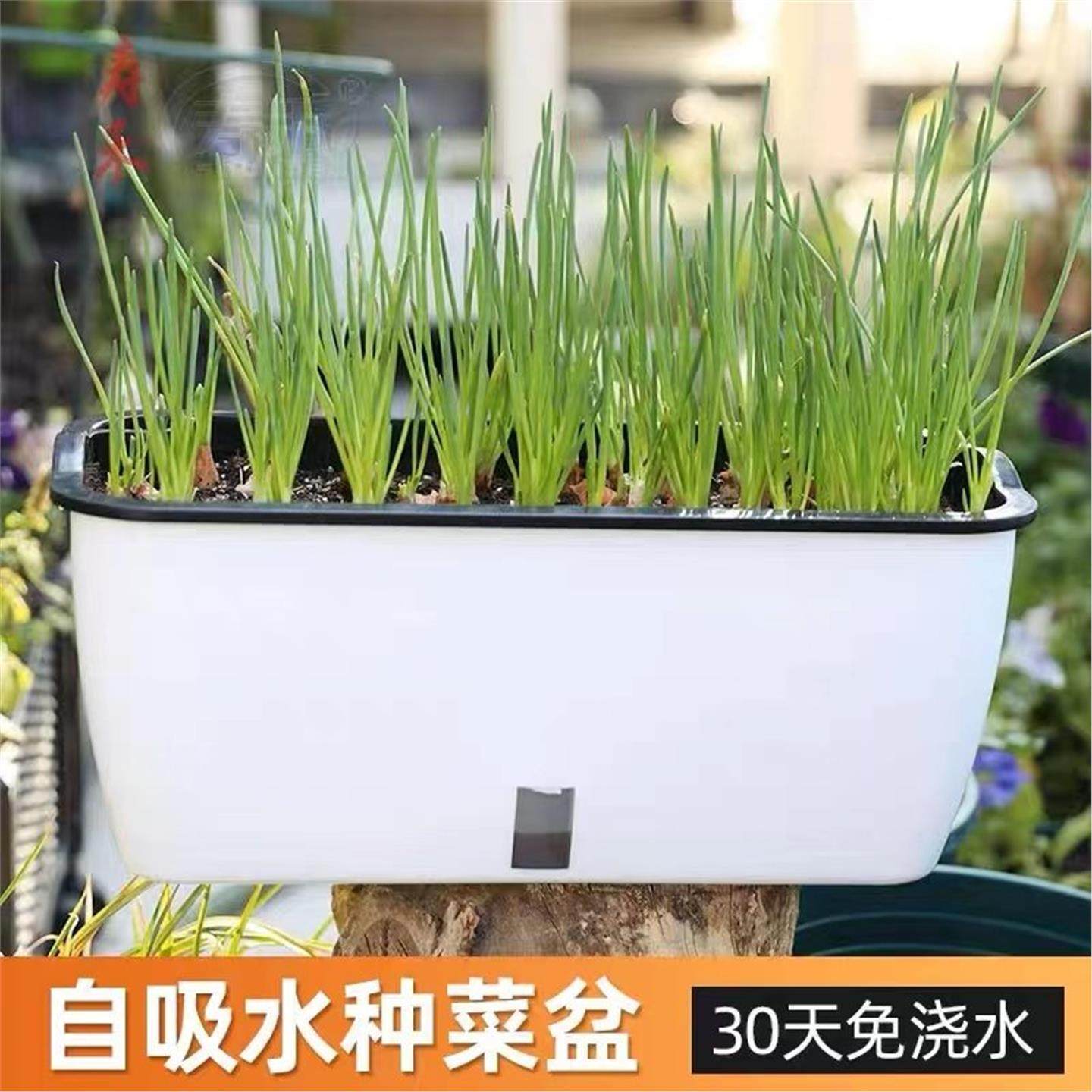 大号加厚双层花盆懒人种植
