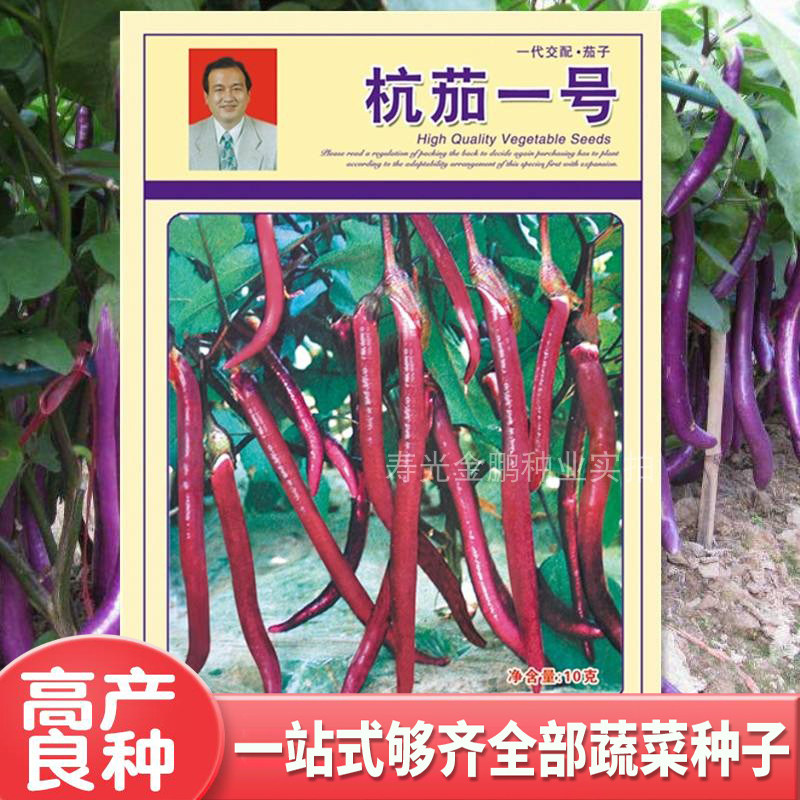 线茄种子籽紫红长嫁接苗四