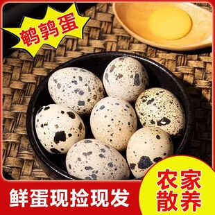 安纯0蛋宝宝吃的鹌鹑蛋新鲜带壳无抗生素0激素孕妇鸟蛋滋补120枚