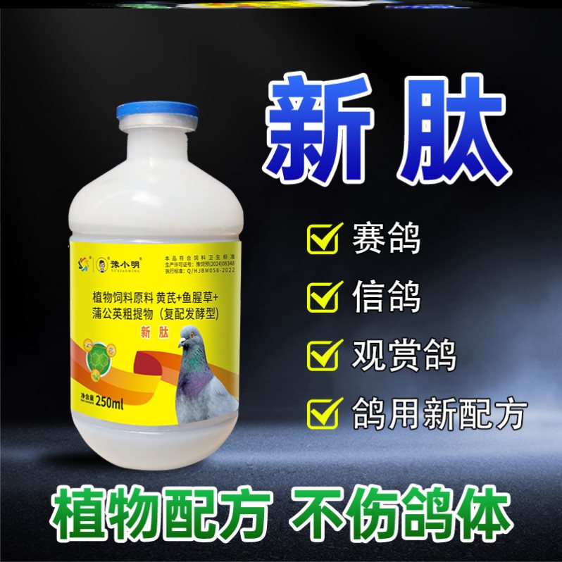 新肽鸽子新肽 正品嗦囊积食观赏鸽子鸽子歪头歪脖鸽子食欲不振