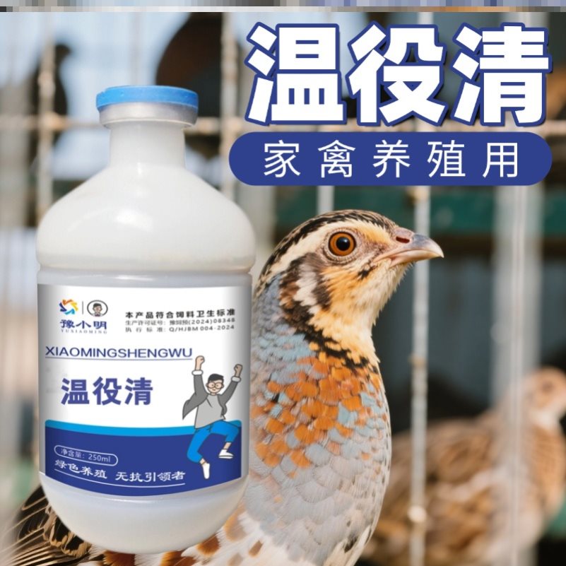 温役清呼吸困难兽用正品家禽温可清养鸡专用鸡闭眼缩头呆立