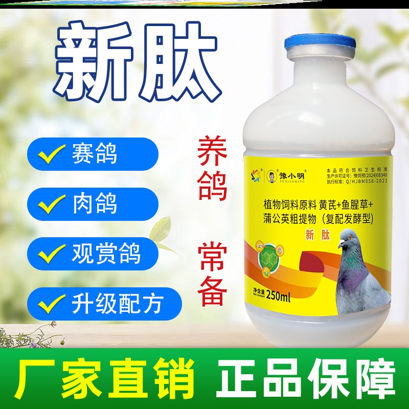 新肽鸽用鸽子歪头歪脖鸽子甩食鸽子食欲不振鸽子新肽 正品