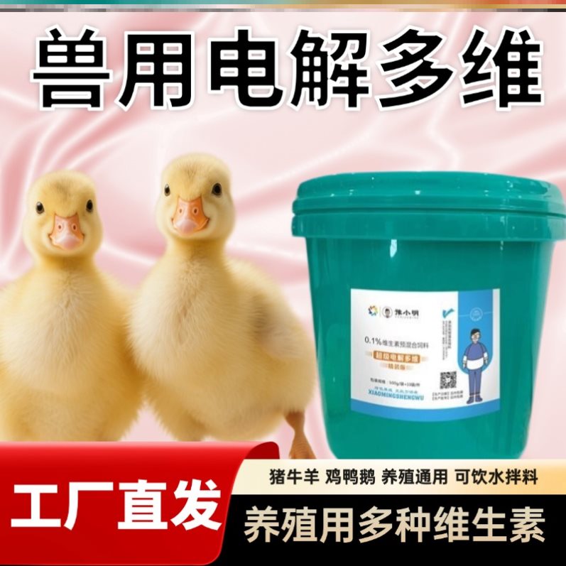 兽用电解多维复合维生素兽用电解多维鸡鸭 猪用桶装电解多维