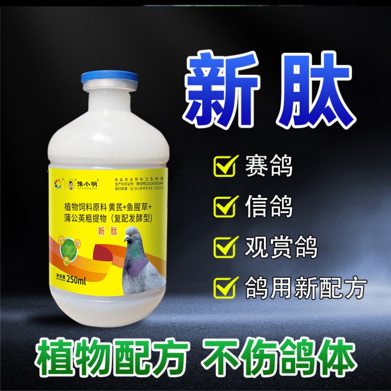 新肽鸽子新肽 正品鸽子歪头歪脖观赏鸽子嗦囊积食鸽子食欲不振