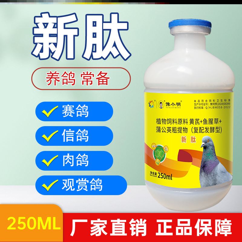 新肽嗦囊积食赛鸽绿便鸽子食欲不振鸽子新肽 正品锁头炸毛