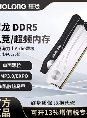疆珑DDR5内存条32g/48g翼龙6000c28台式电脑6400海力士颗粒16gx2