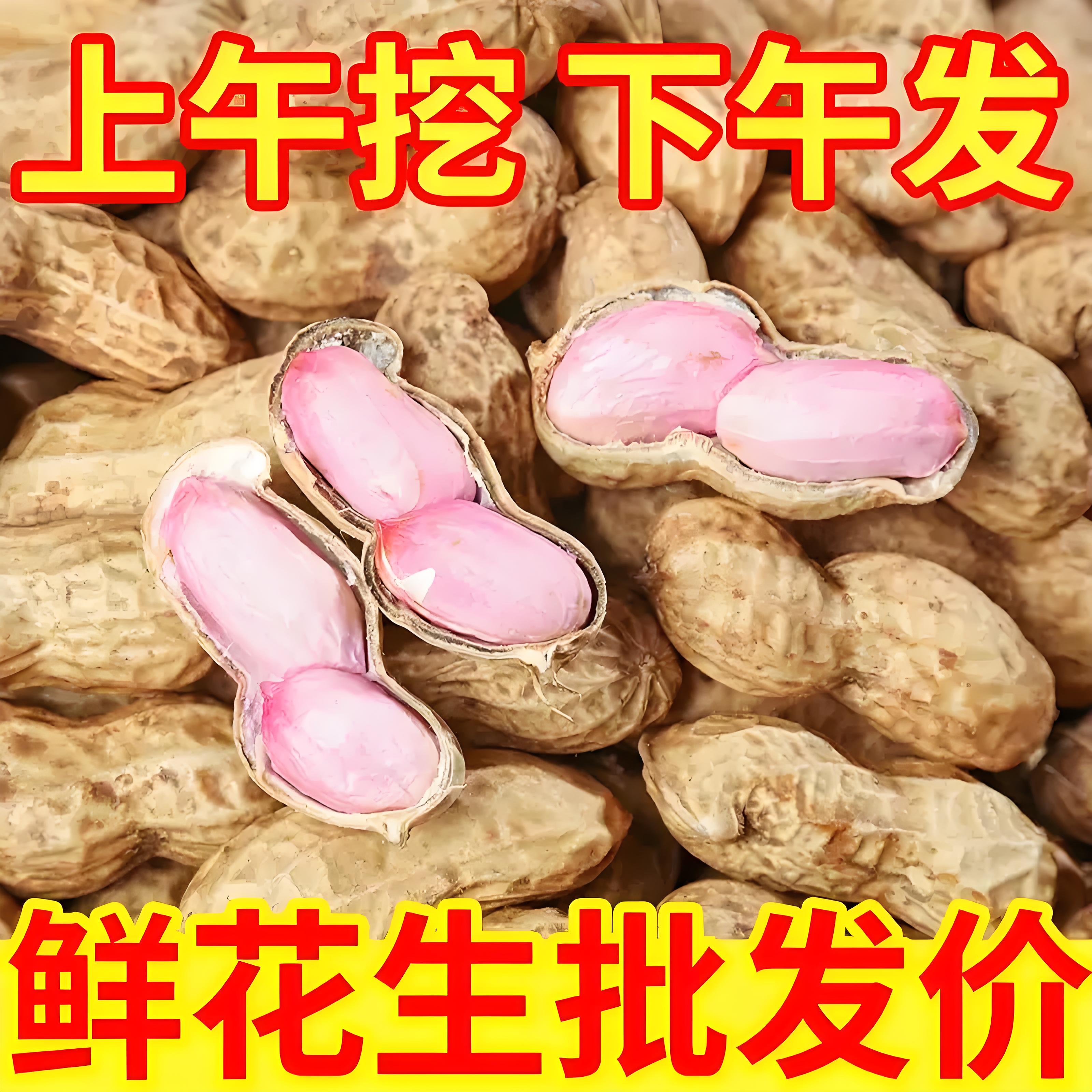 2026新鲜湿花生农家现挖可榨油