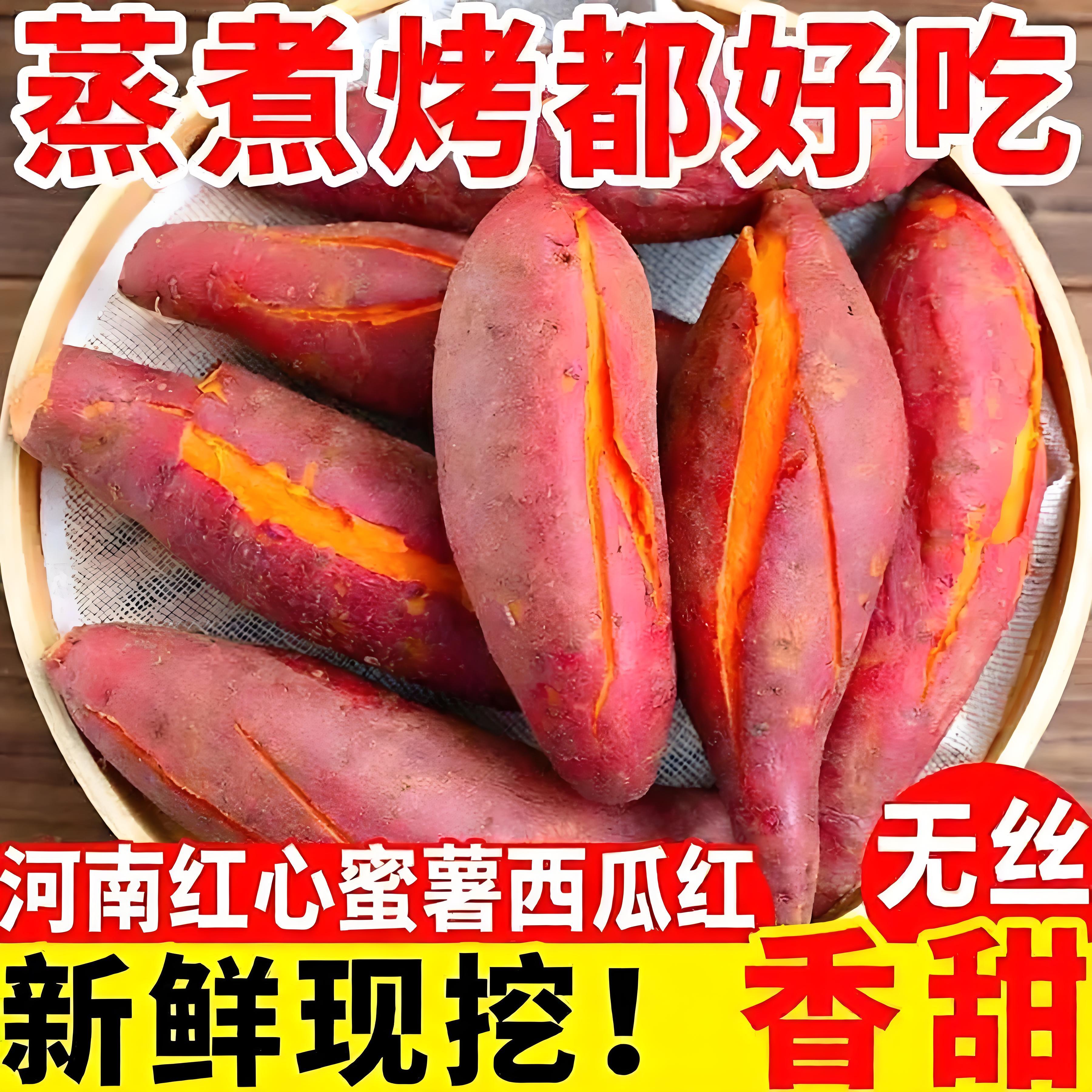 河南沙地现挖西瓜红蜜薯香甜软糯