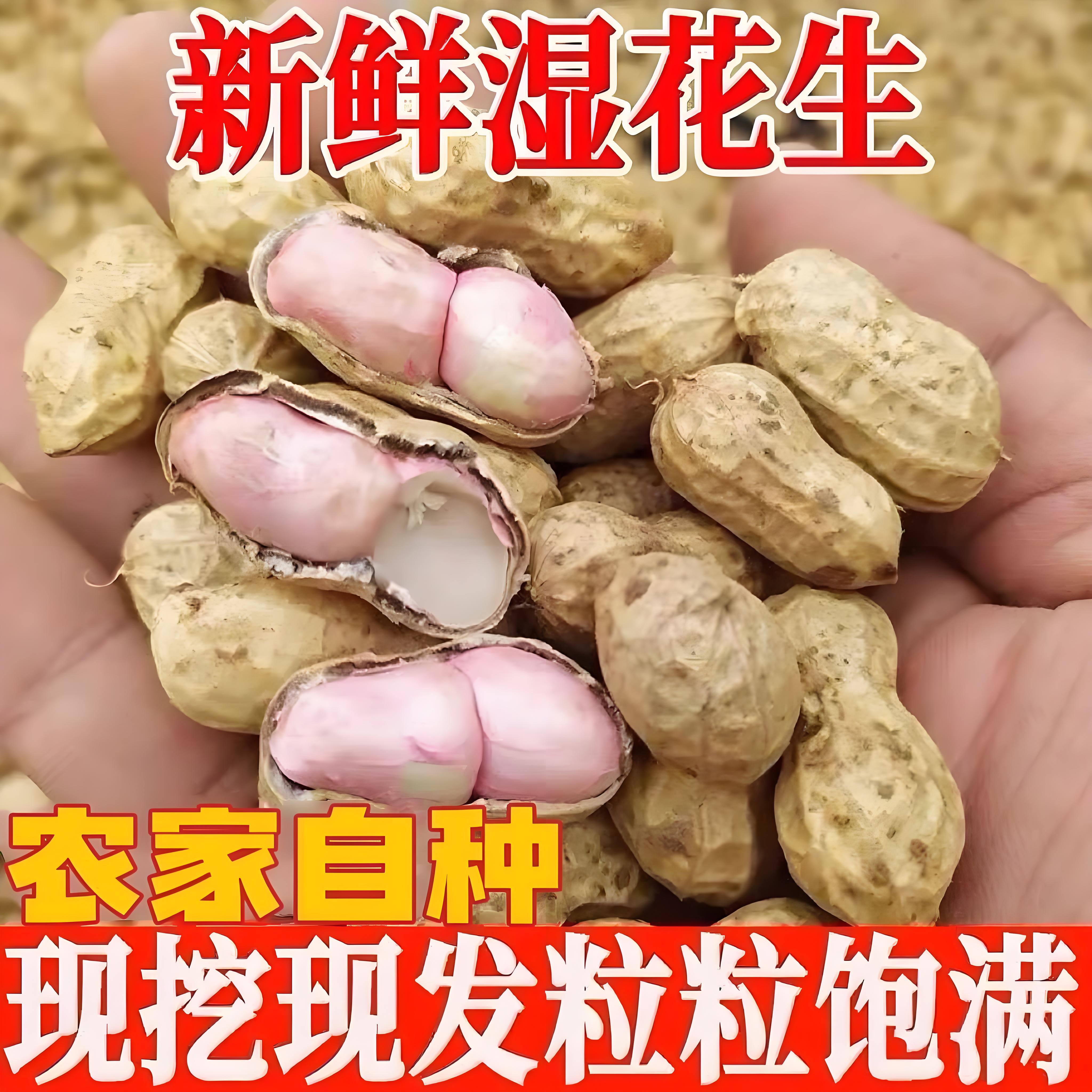 河南农家自种现挖新鲜带壳湿花生