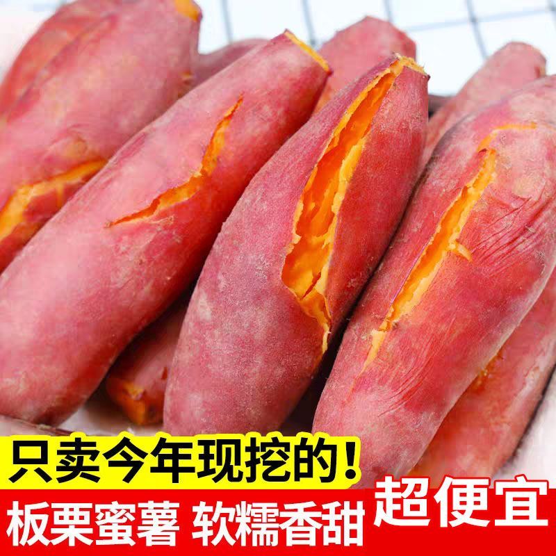 沙地龙九黄心蜜薯软糯香甜小番薯