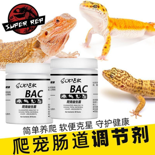 爬虫BAC肠胃调理益生菌爬宠陆龟变色龙蛇守宫鬃狮蜥拉稀拒食腹泻