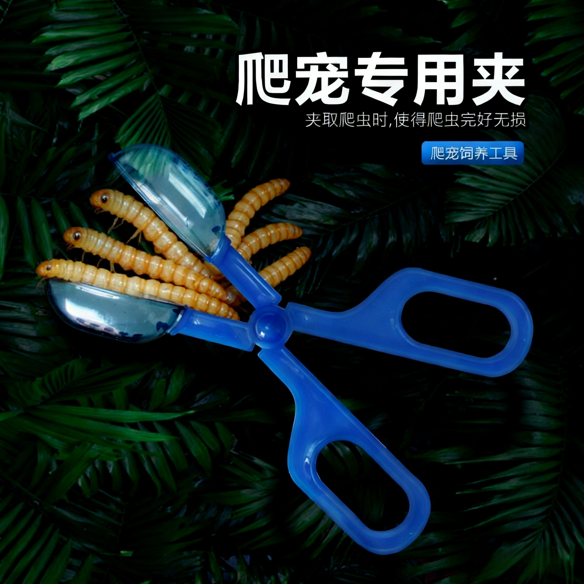 爬虫夹子捕虫器昆虫夹子清洁工具爬虫乌龟蜥蜴角蛙蜘蛛喂食钳捕虫