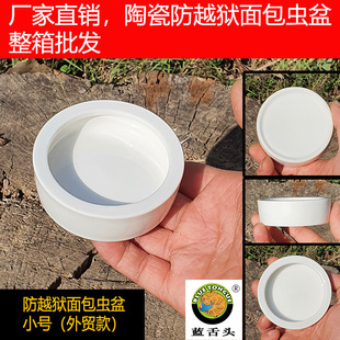 爬虫防逃逸蛇饮水泡水盆食盆鬃狮蜥蜴守宫大麦虫面包虫爬宠