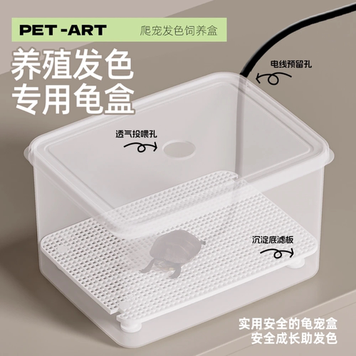 乌龟发色饲养盒龟苗隔离盒蛋龟发色饲养盒带沉淀板养龟加温专用盒