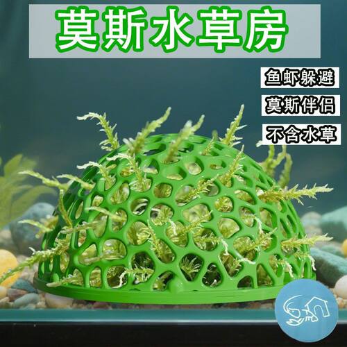 小型鱼缸镂空莫斯水草躲避屋