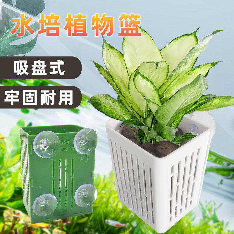 水培固定篮鱼缸水草固定吸盘固定篮种植杯鱼缸造景装饰绿萝定植篮
