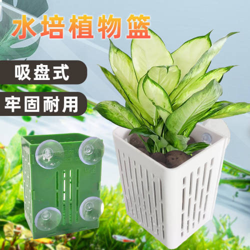 水培固定篮鱼缸造景装饰