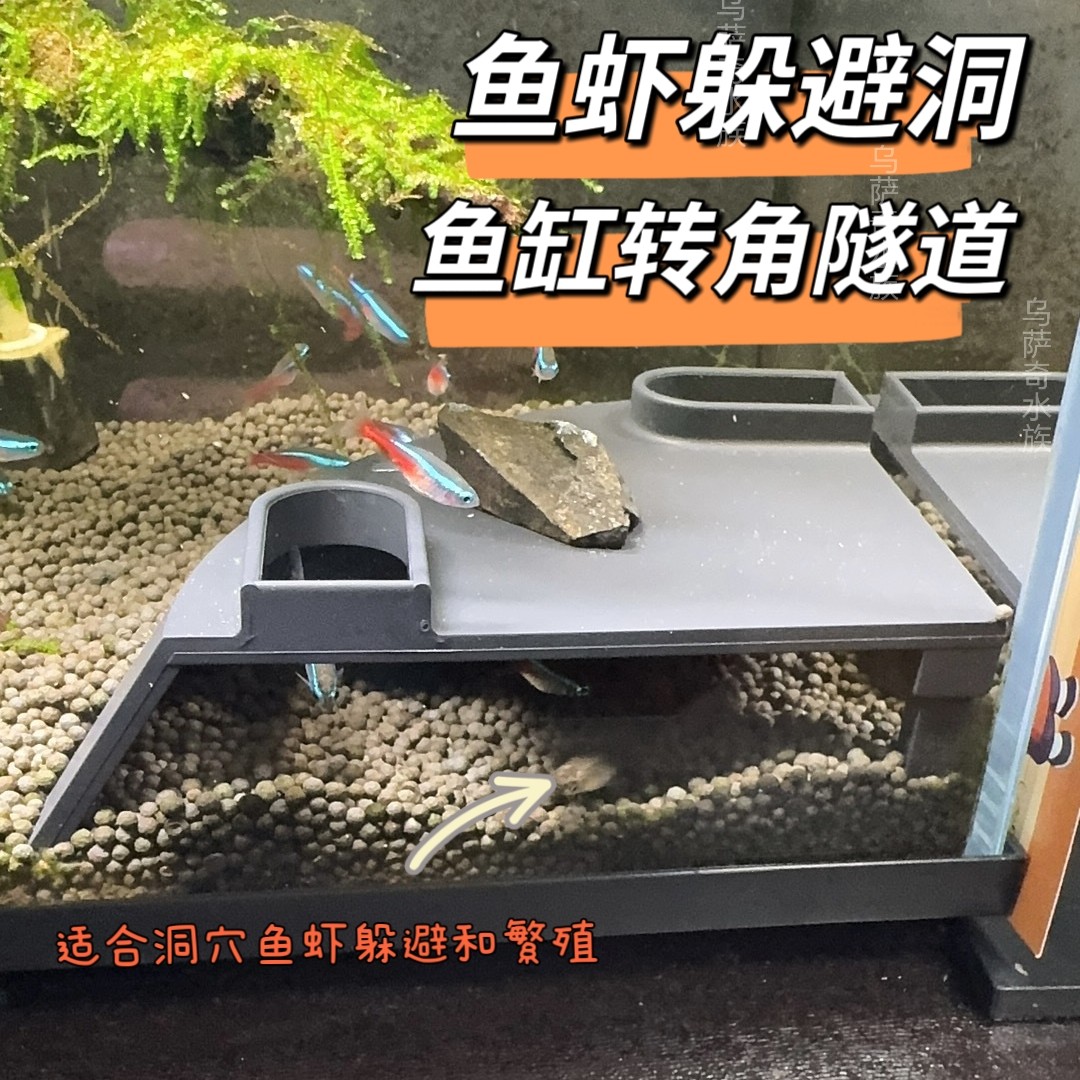 虾窝地下隐藏洞穴鱼虾躲避屋