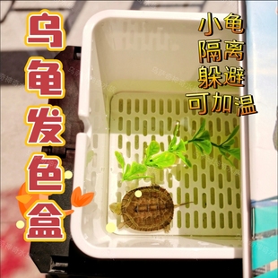 乌龟隔离盒龟苗发色盒蛋龟饲养盒小型鱼孵化饲养可加温多功能龟箱