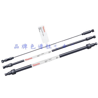 议价046075Thermo赛默飞色谱柱Dionex戴安 IonPac  CS12A 2*250mm